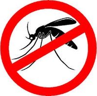 Imagem mosquito da dengue.jpg