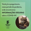 IFPB Campus Cabedelo - Coronavírus: Informações Seguras 1.jpg
