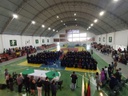 Festa Festa
