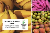 Chamada Interna PNAE - Agricultura Familiar