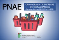 Cronograma de Entregas Chamadas Internas 02/2021 e 03/2021 - PNAE