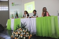 PROFESSORAS DEBATEDORAS DA TEMÁTICA DA SELLIF