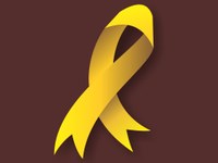 noticia dia combate ao suicidio 2017.jpg