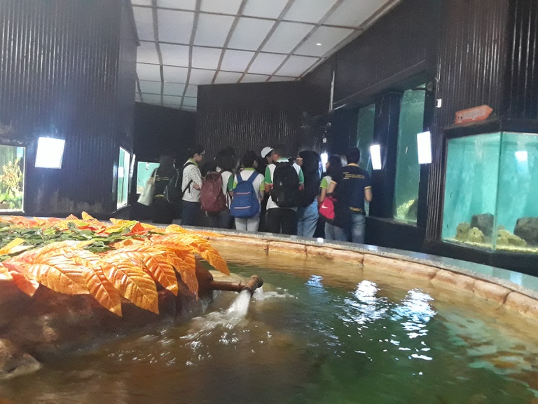 Campus Esperança visita o Aquário de Natal-RN — Instituto Federal da  Paraiba IFPB