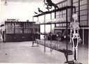 Sala de Mineralogia e História Natural - 1962