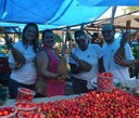 Feira Feira