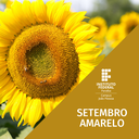 setembro amarelo ifpb.png setembro amarelo ifpb.png