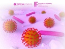 noticia-podcat-coronavirus.jpg noticia-podcat-coronavirus.jpg