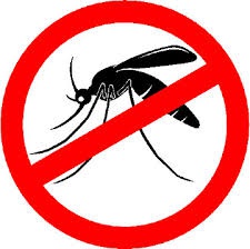 imagem de combate ao mosquito da dengue.jpeg