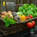 Agrotóxicos: aspectos sanitários e ambientais