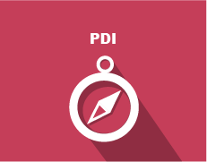 PDI_PDI1.png