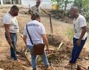 Ciclo bananeiras pronto.jpeg Ciclo bananeiras pronto.jpeg