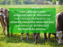 extensão extensão